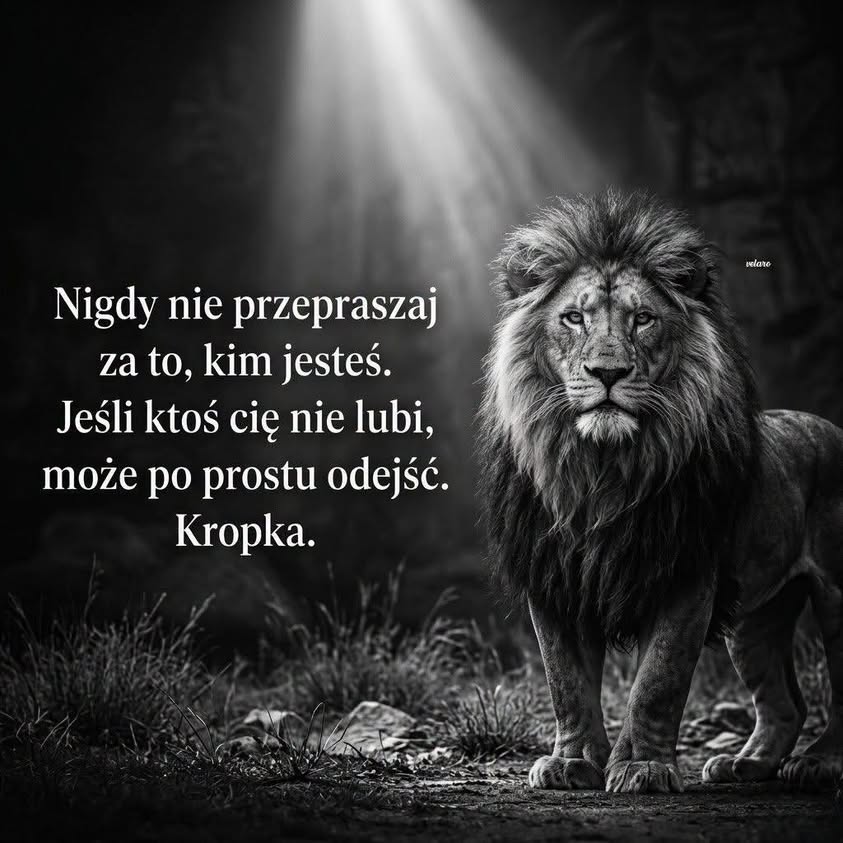 Fotografia z archiwalnego wpisu: Są zdania, które czasem brzmią jak wyrok,…