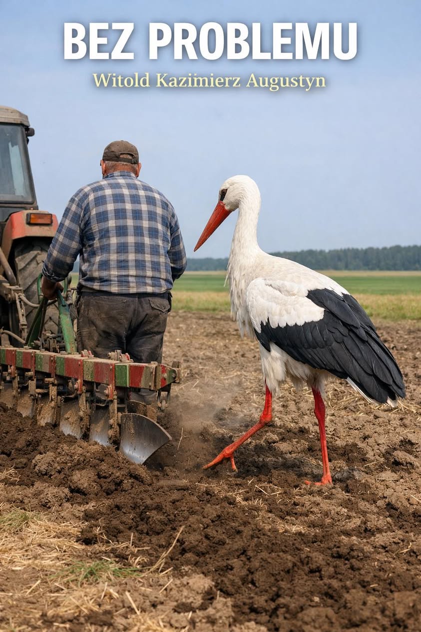 Fotografia z archiwalnego wpisu: Życie nie jest problemem do rozwiązania.