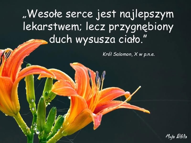 Fotografia z archiwalnego wpisu: Salomon powiedział, że wesołe serce to lekarstwo.