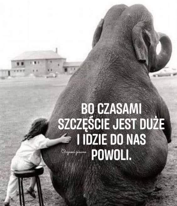 Fotografia z archiwalnego wpisu: Zdarzyło mi się usłyszeć: „Nie jestem szczęśliwa.